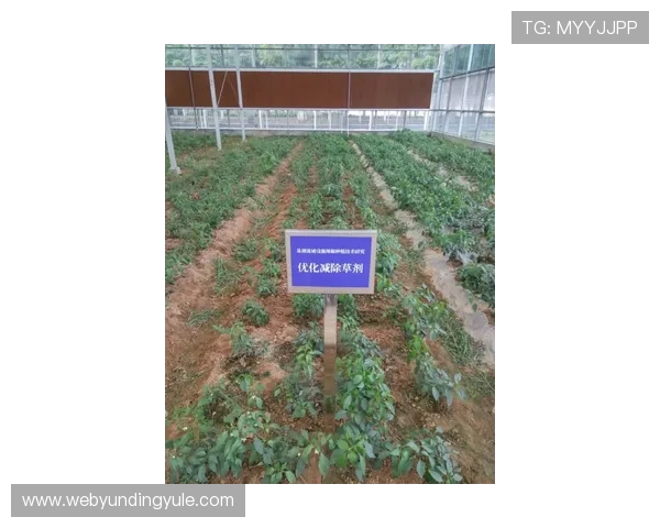 云顶集团新加坡智慧旅游解决方案,助力城市数字化转型与旅游经济提振