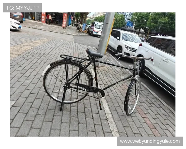 二八杠自行车如何选择合适的投注策略实现盈利最大化