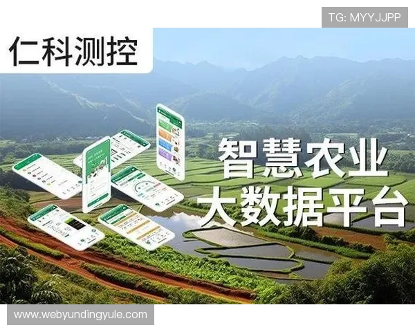 澳门云顶国际平台怎么样：最新平台功能介绍及实际使用效果分析