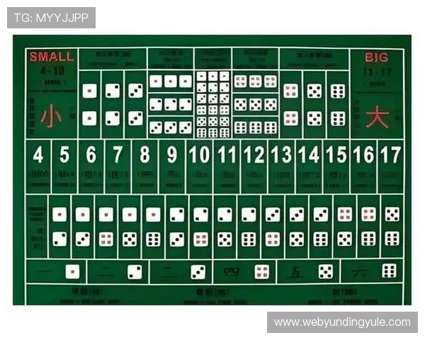 详细介绍骰宝游戏的基本规则和常见玩法新手必看