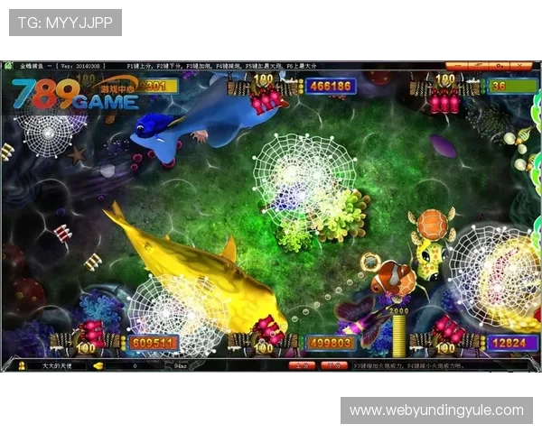 金鲨银鲨游戏中常见问题与解决方案帮助玩家顺利通关